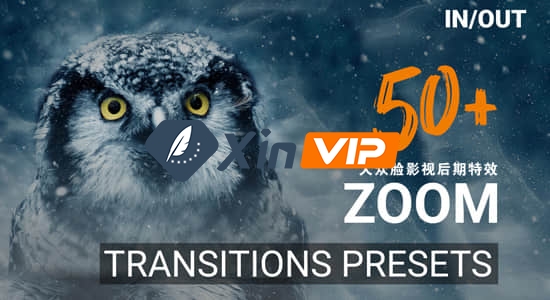 Premiere预设-50种高质量独特冲击缩放过渡转场预设 50 Zoom Transition Presets插图